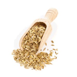 White Fennel Seeds