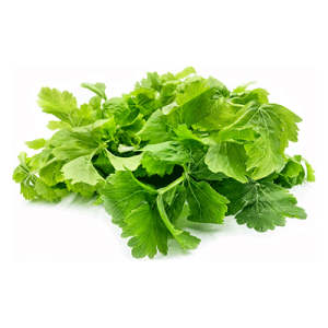 Celery Leaves (Daun Sup)