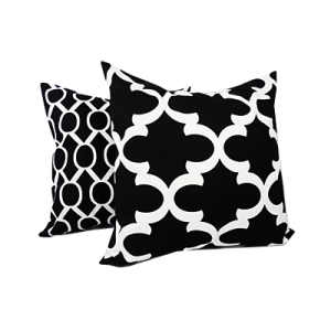 Decorative Pillows & Covers